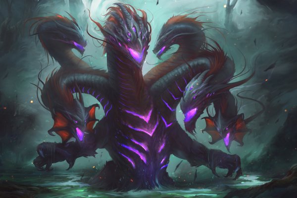 Kraken 24 top
