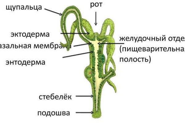 Kraken ссылка для тору