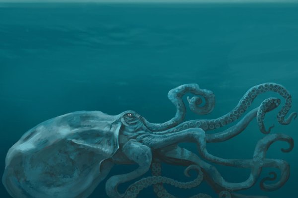 Кракен сайт 1kraken me вход