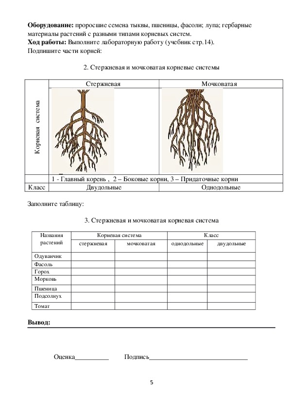 Официальный сайт kraken ссылки зеркала